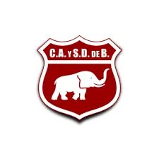 DEFENSORES DE BELGRANO
